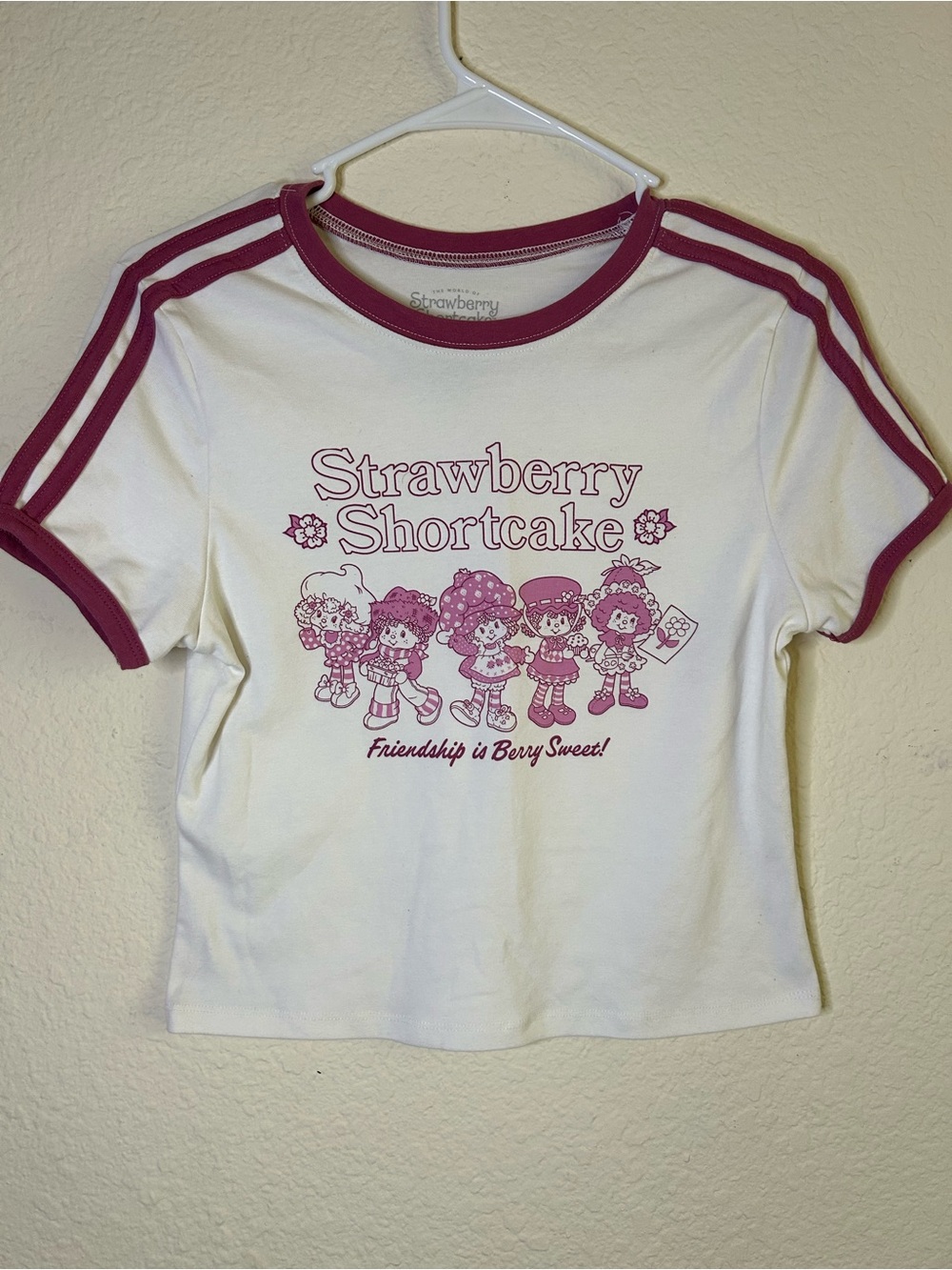 Starwberry Shortcake Medium Y2K Short Sleeve Babydoll Top Medium 80's Pink Girly